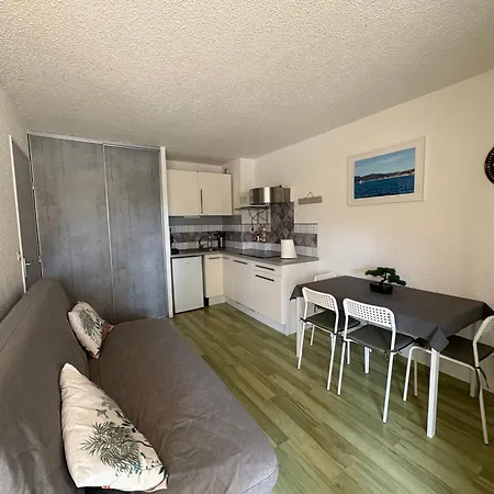 아파트 Preco 459 Maxime 4 Couchages Piscine Et Parking *
